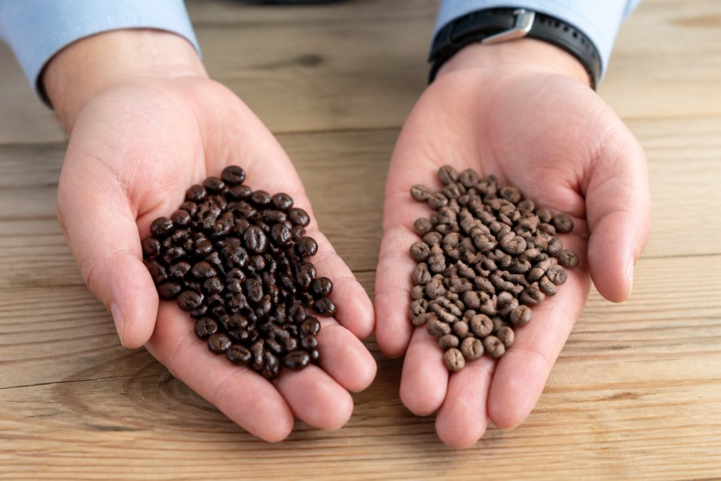 Two hands side by side, one holding glossy, dark coffee beans with visible oils and vibrant color in natural daylight, the other holding a pile of dull, matte beans with no sheen and faded coloring, photographed against a light wooden surface