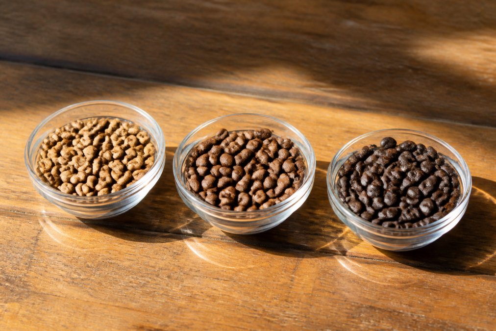 Three small glass bowls filled with coffee beans of varying roast levels from light to dark, arranged on a wooden table in warm natural light