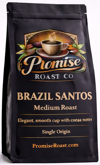 Brazil Santos
